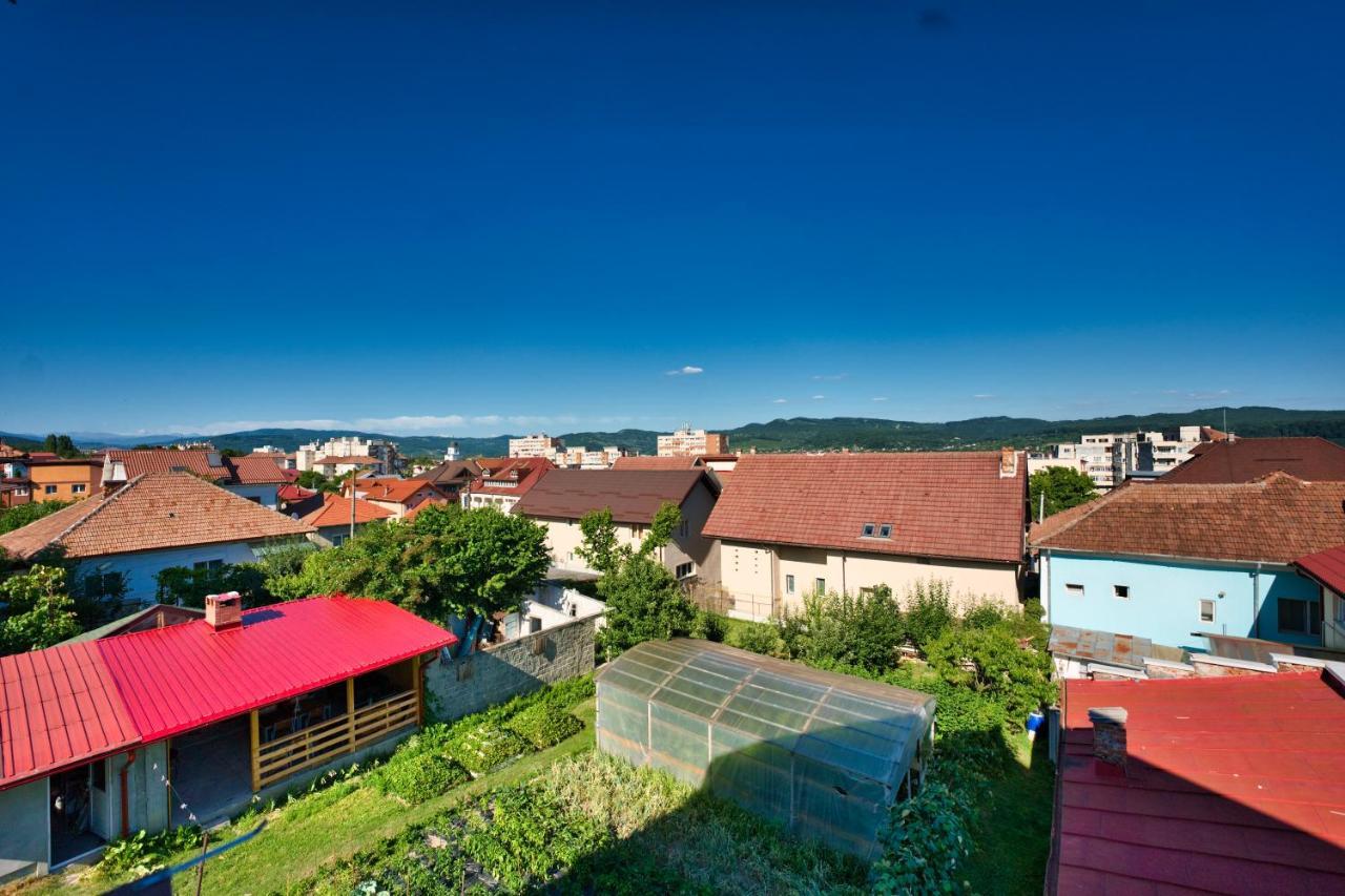 Vila Victoria Римніку-Вилча Екстер'єр фото