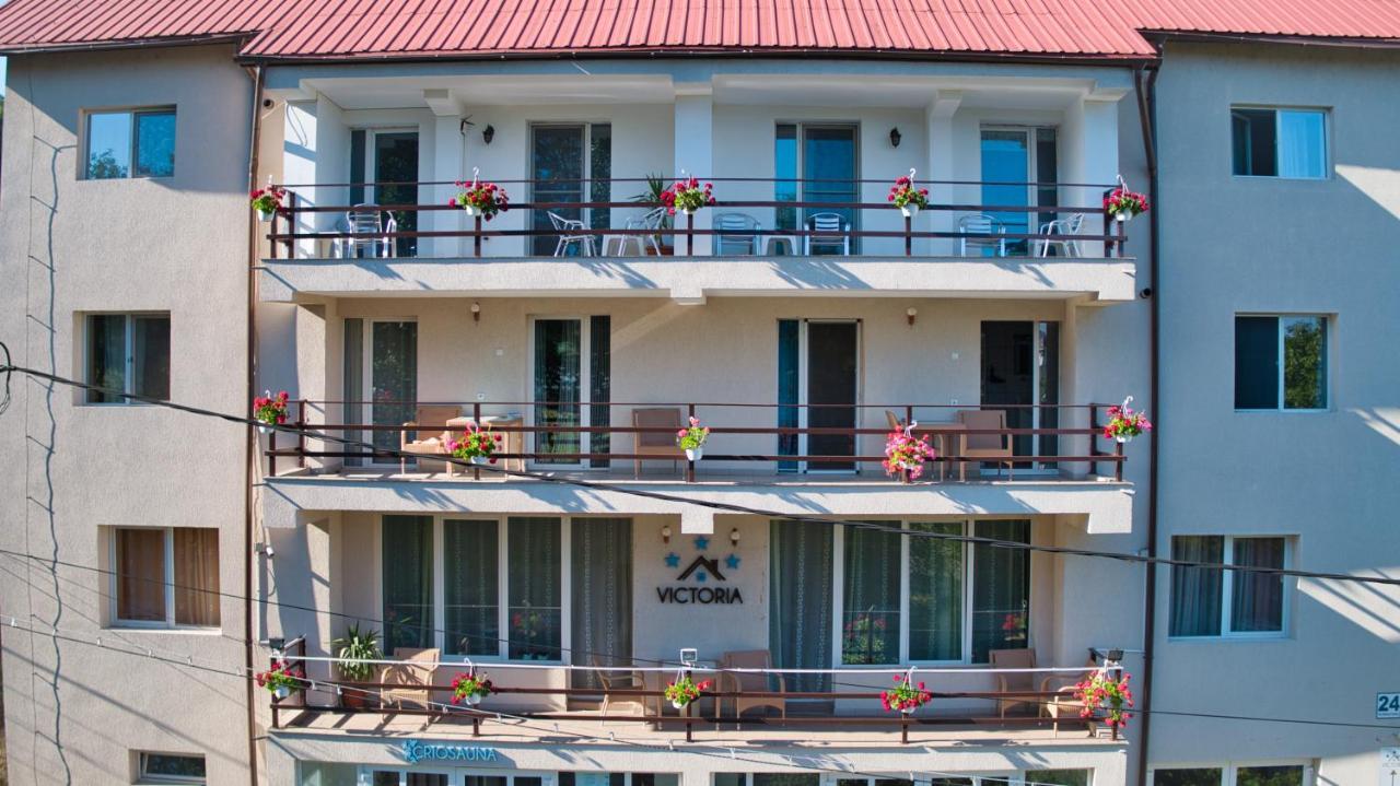 Vila Victoria Римніку-Вилча Екстер'єр фото