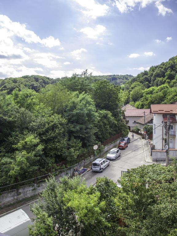 Vila Victoria Римніку-Вилча Екстер'єр фото